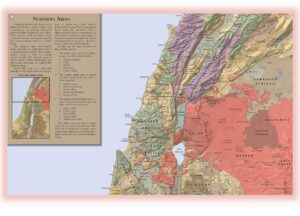 71Z3PVBn3JL._SL1080_